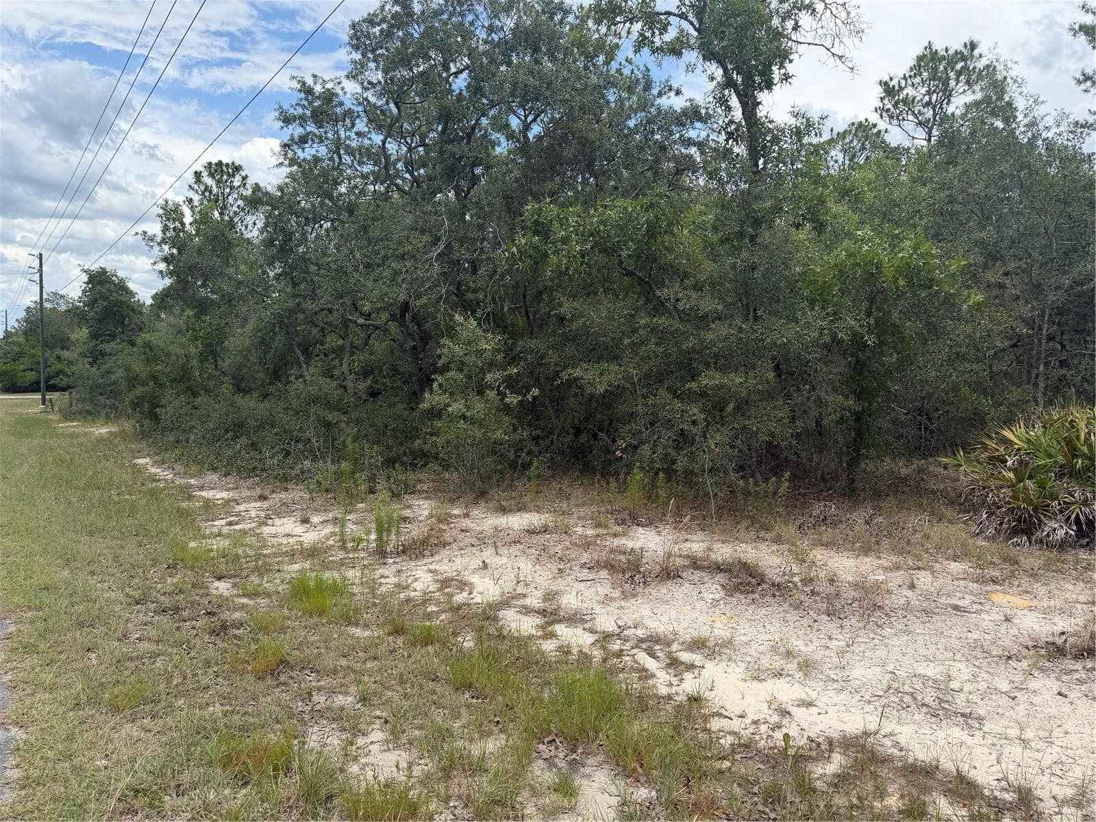 Land at 6215 S PREMIERE AVE, HOMOSASSA, photo 6 of 8