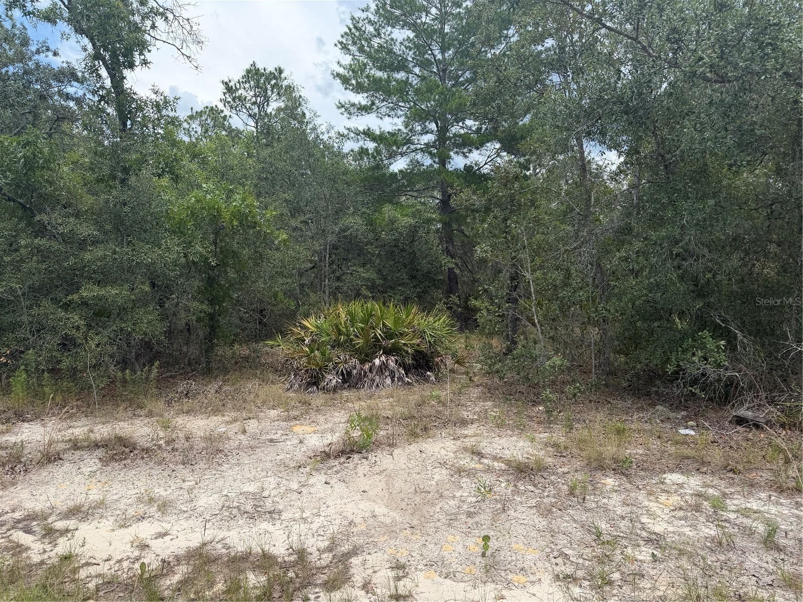 Land at 6215 S PREMIERE AVE, HOMOSASSA, photo 7 of 8