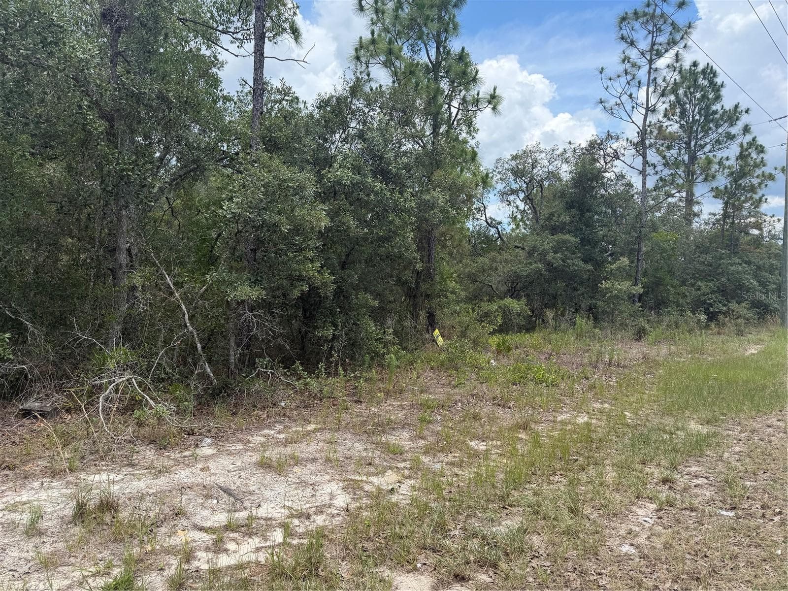 Land at 6215 S PREMIERE AVE, HOMOSASSA, photo 8 of 8