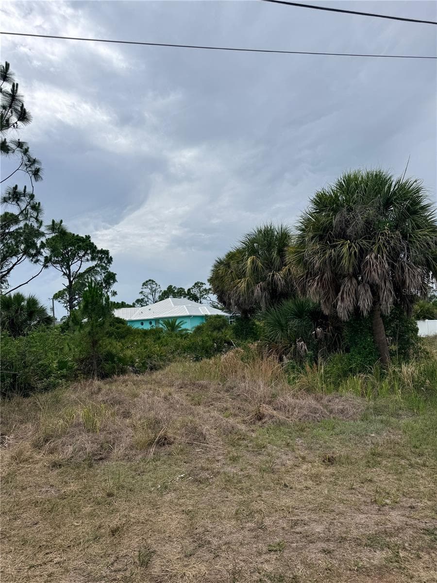 Land at 110 HARDEE WAY, ROTONDA WEST, photo 3 of 8
