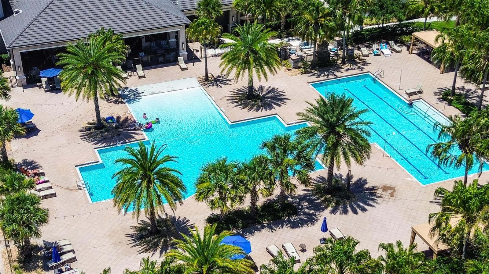 Community pool - 30932 LINDENTREE DR, WESLEY CHAPEL