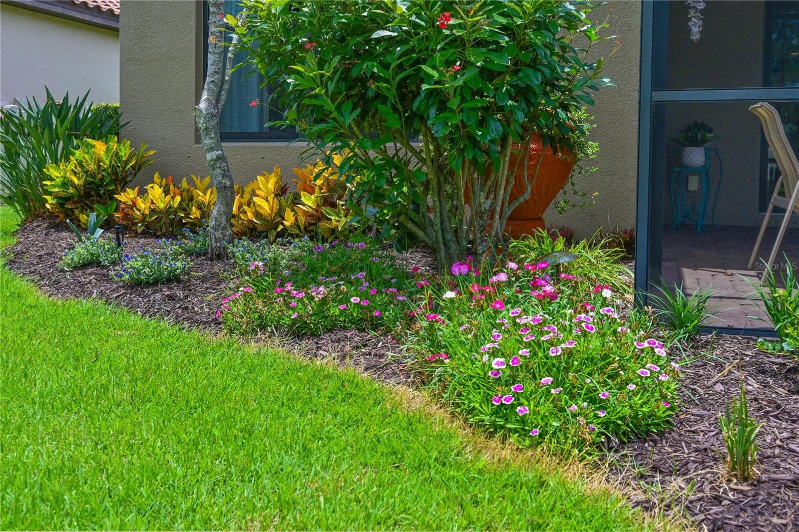 Beautiful garden - 5007 SERATA DR, BRADENTON