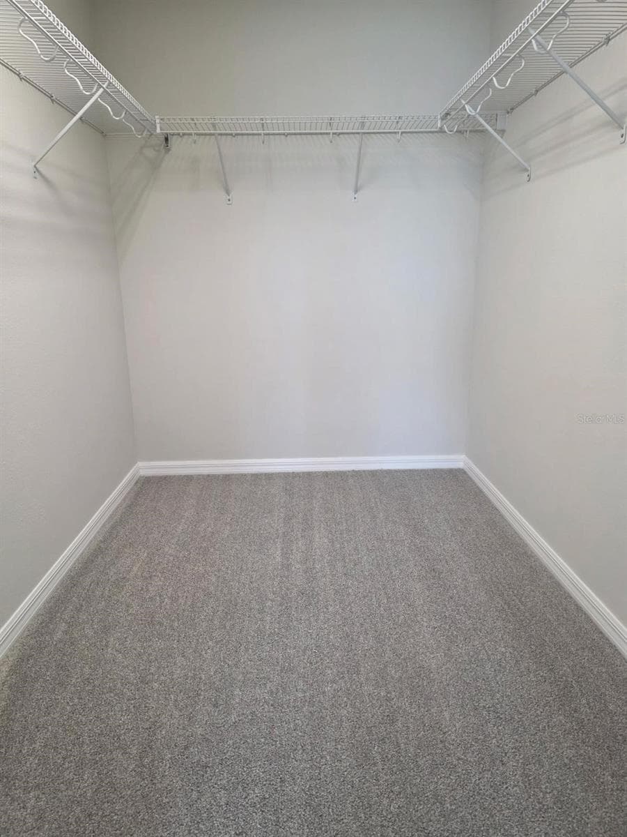 Spacious walk in closet with built in wire shelving - 7005 GRAND ELM DR, RIVERVIEW
