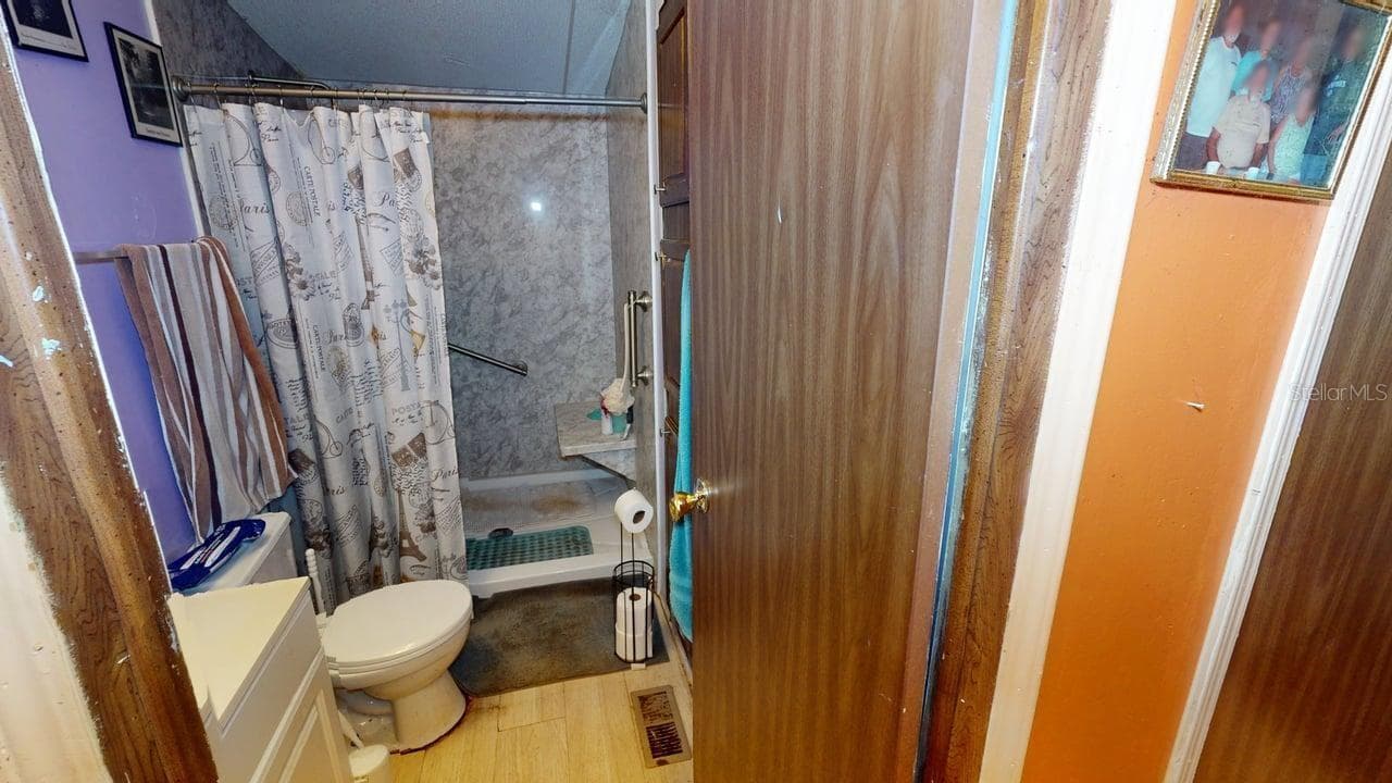 Hall/main bath in main home - 30501 CLEARVIEW DR, WESLEY CHAPEL