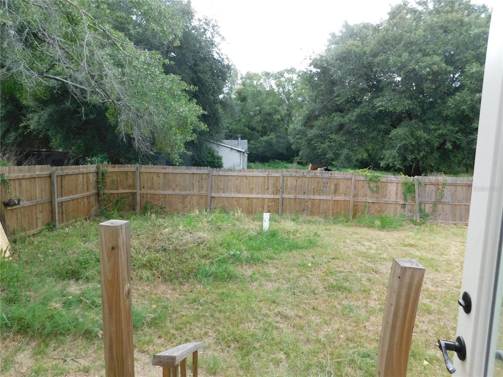 Fenced yard main home - 30501 CLEARVIEW DR, WESLEY CHAPEL