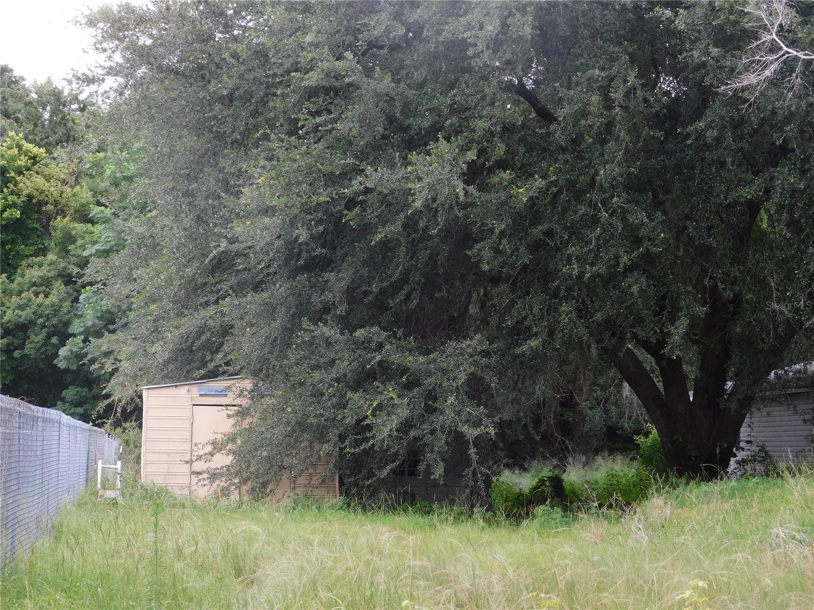 Best picture I could get of large storage at 2nd home - 30501 CLEARVIEW DR, WESLEY CHAPEL