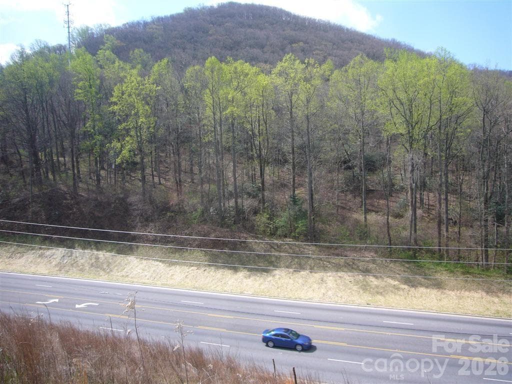 View of 10 acres from across Hwy 74A showing level building areas. - Asheville