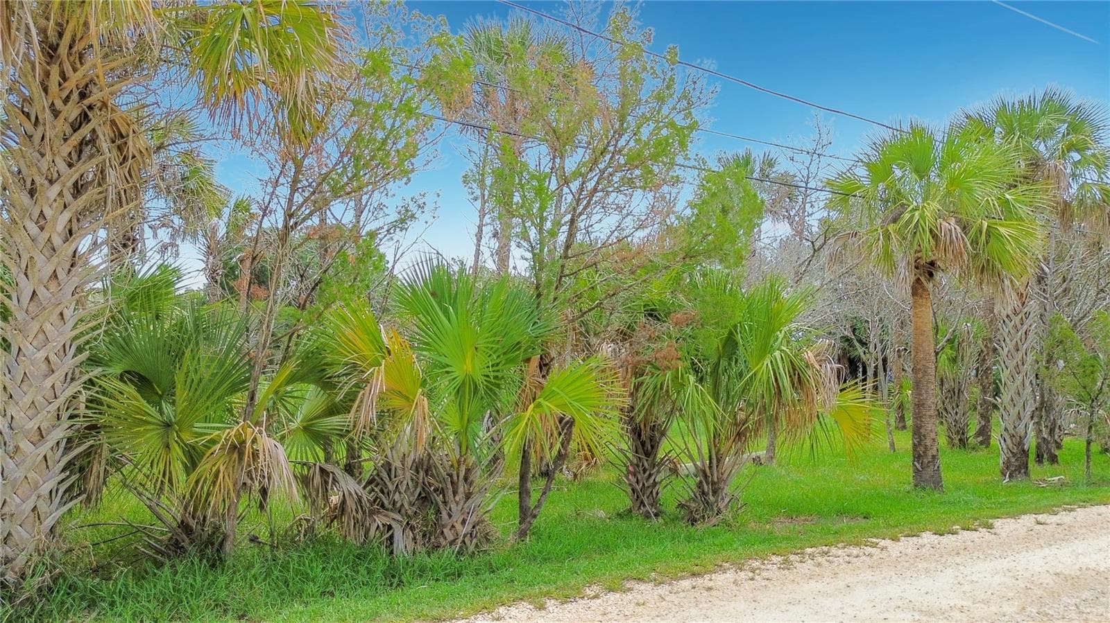 Land at 12073 W GULF BREEZE CT, CRYSTAL RIVER, photo 9 of 25