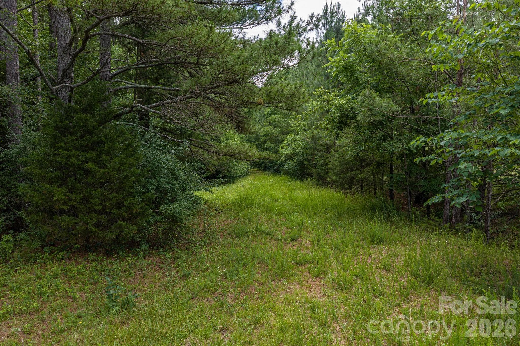 Acreage at 000 Logan Land Road, Lincolnton, photo 3 of 7