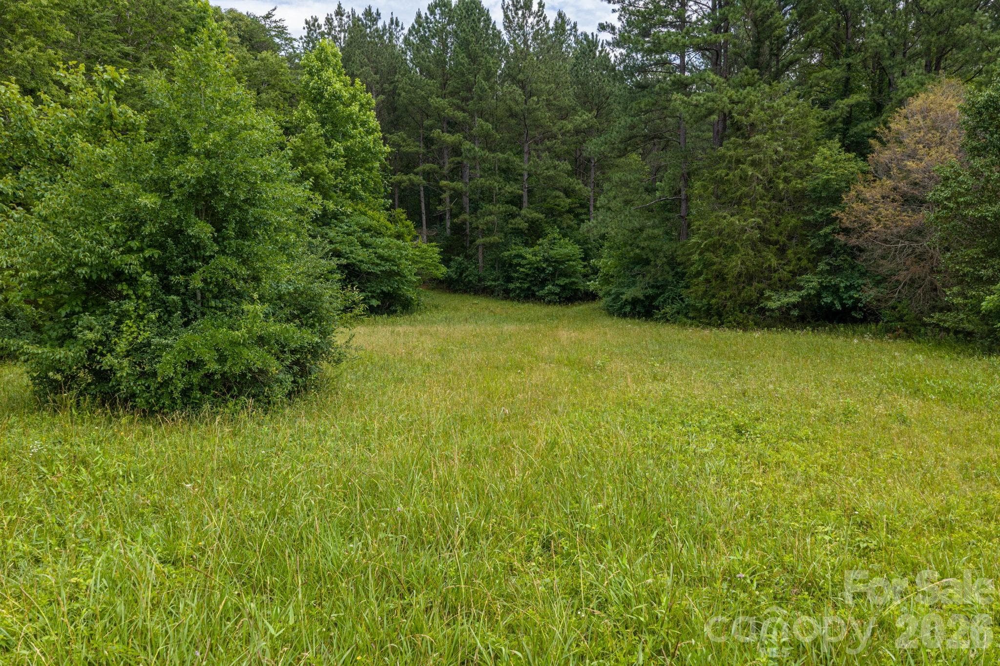 Acreage at 000 Logan Land Road, Lincolnton, photo 4 of 7