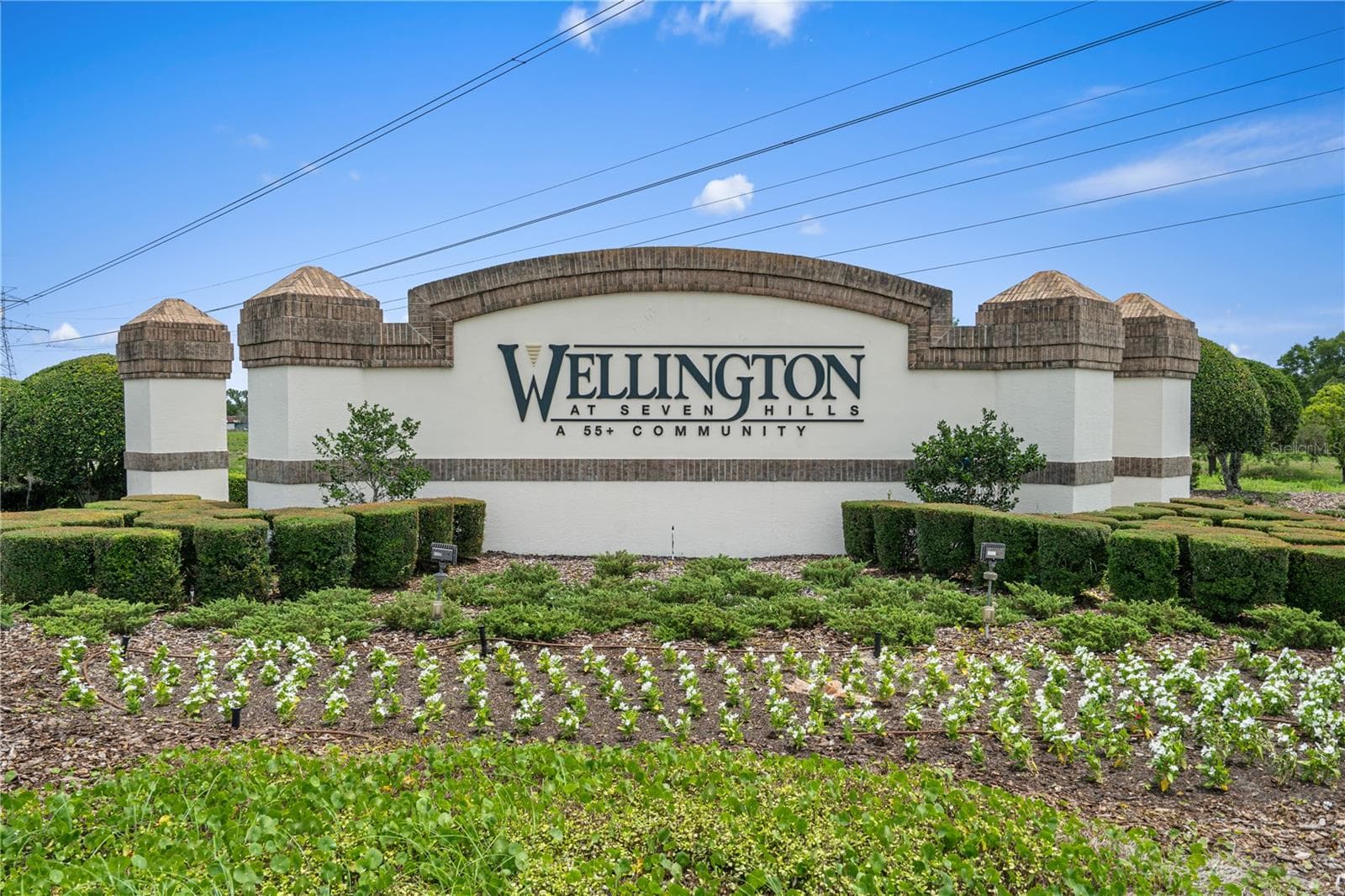 Single Family Residence at 306 BARRINGTON CT, SPRING HILL, photo 45 of 51