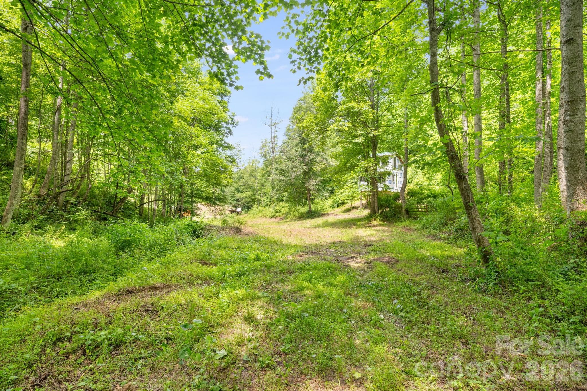 Farm at 224 Allen Drive, Marshall, photo 9 of 38