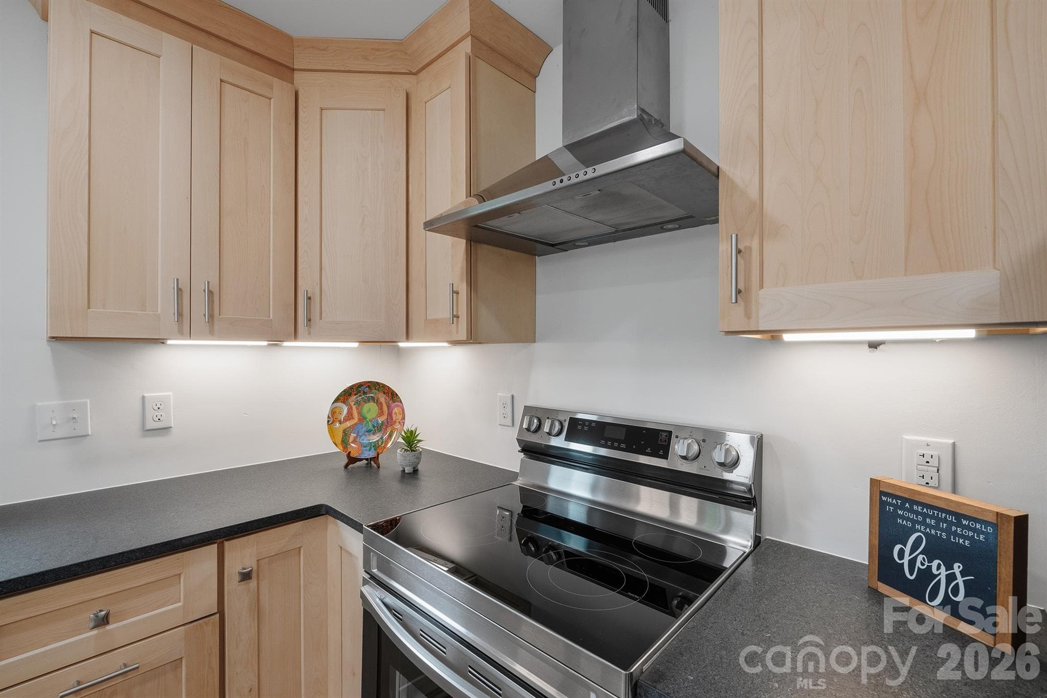 Stainless range hood - Denver