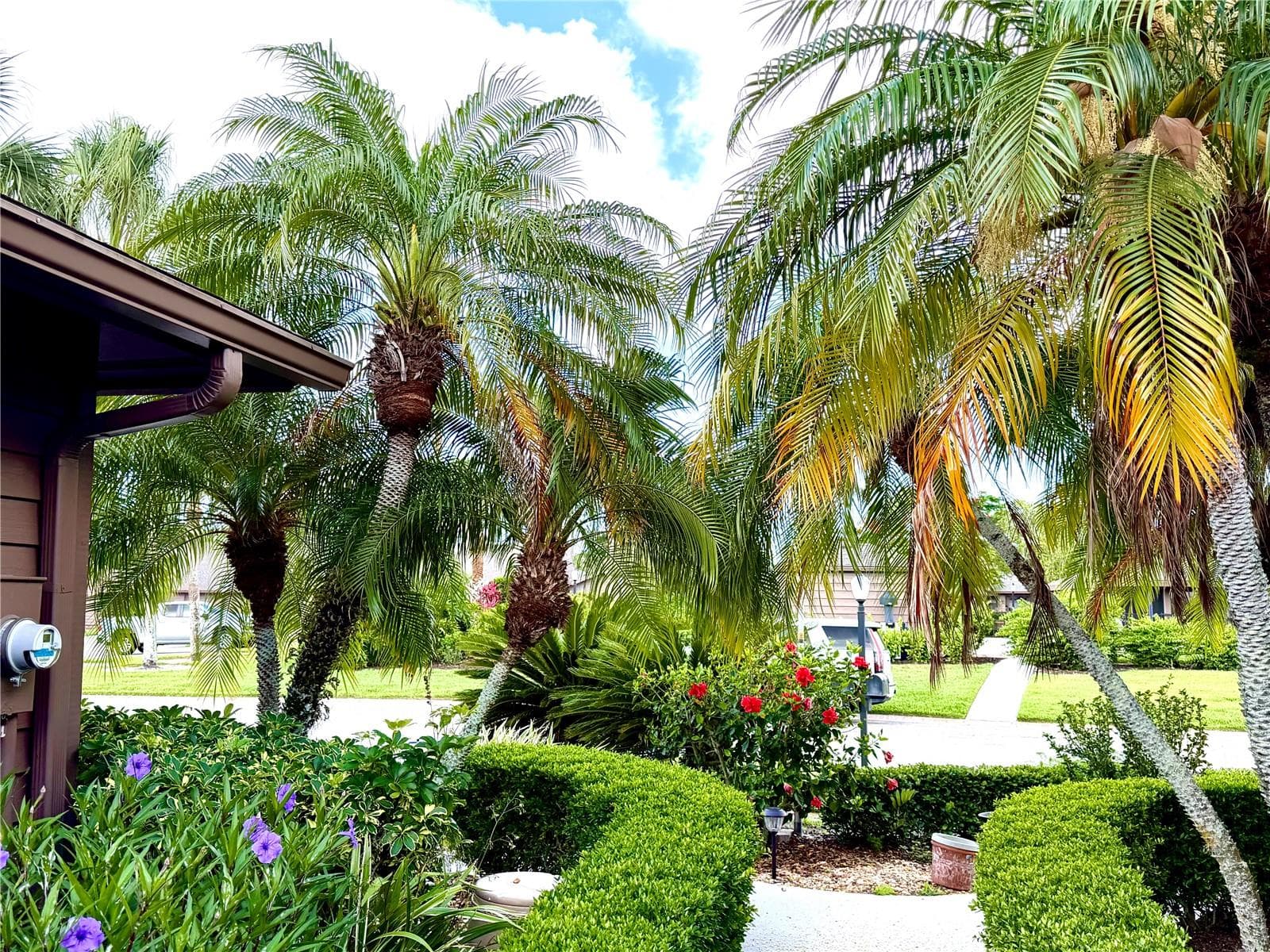 Condominium at 5813 MERION WAY #5813, SARASOTA, photo 4 of 37