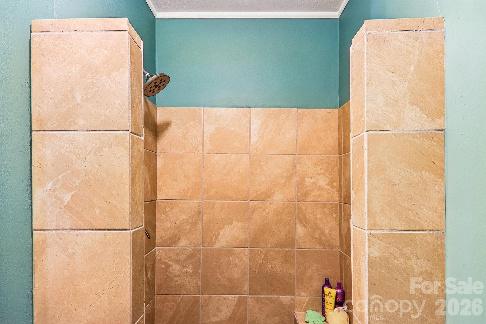 Shower in primary bathroom - Hendersonville