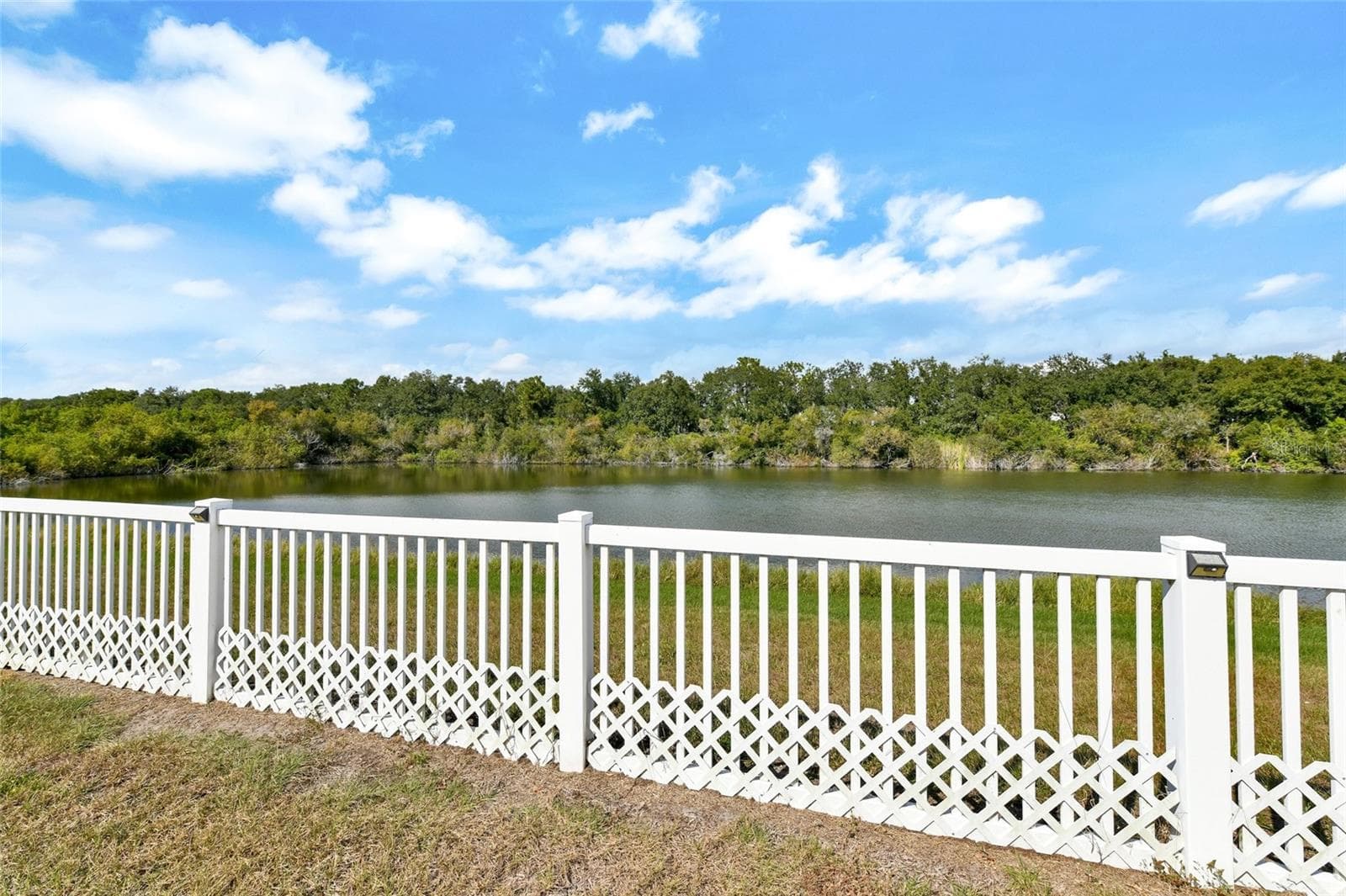 Single Family Residence at 7514 FOREST MERE DR, RIVERVIEW, photo 3 of 55