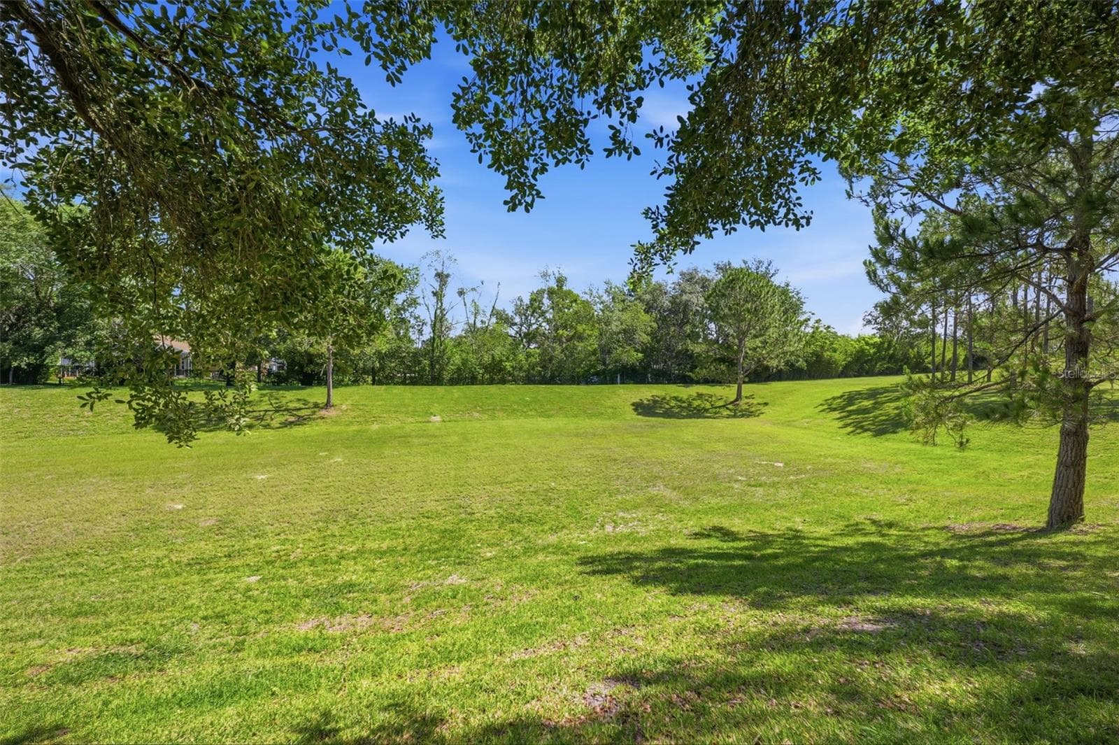 Rear Exterior - 11407 LEEDS DR, SPRING HILL