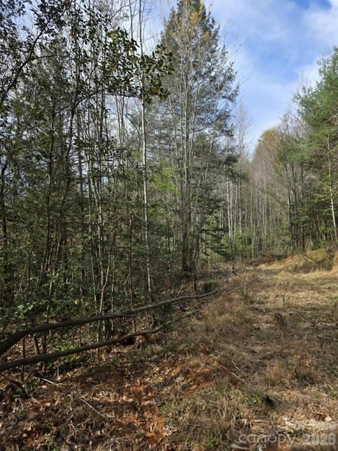Lot at Lot 5 Kerlee Lane, Old Fort, photo 2 of 8
