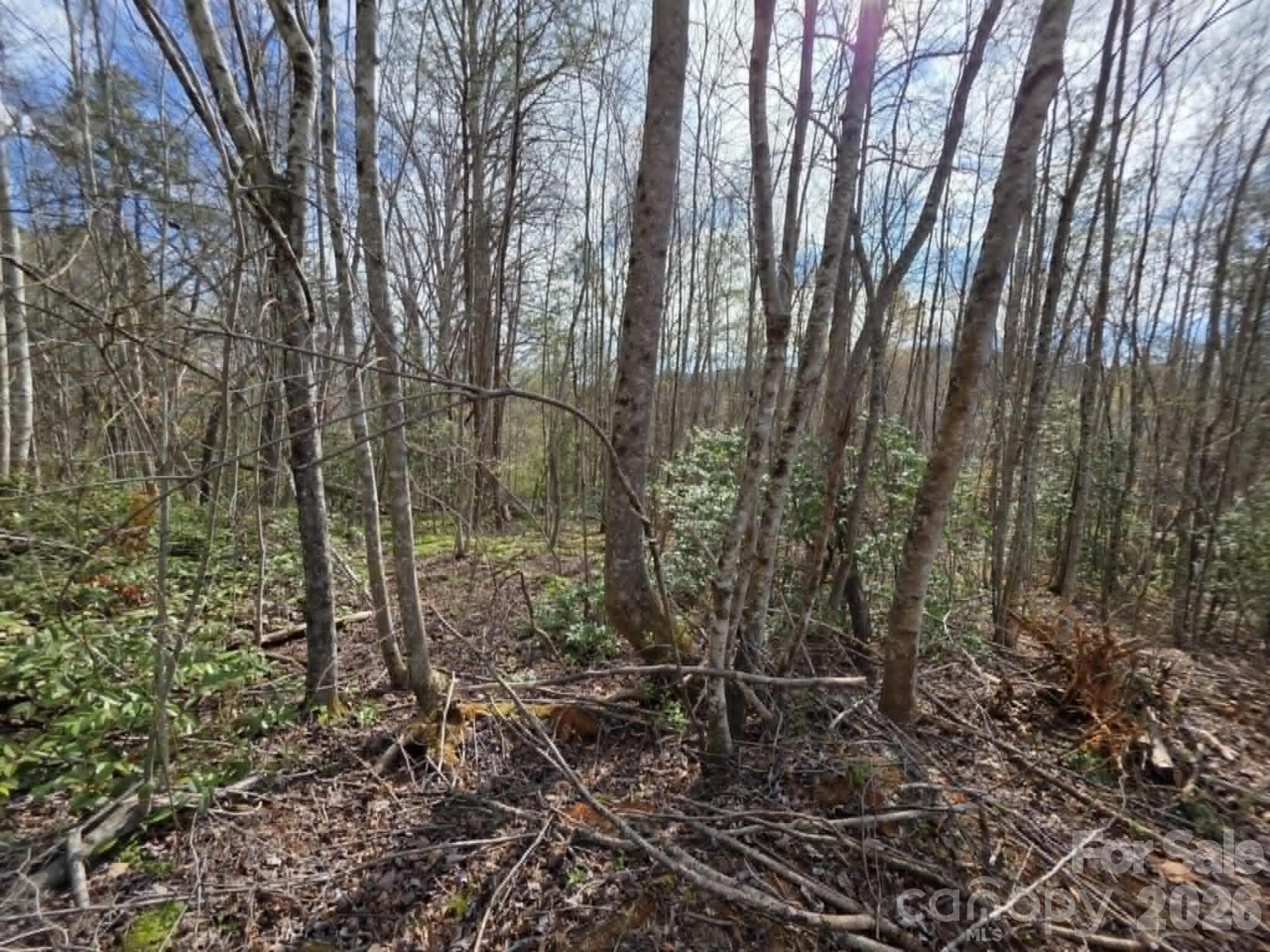 Lot at Lot 5 Kerlee Lane, Old Fort, photo 3 of 8