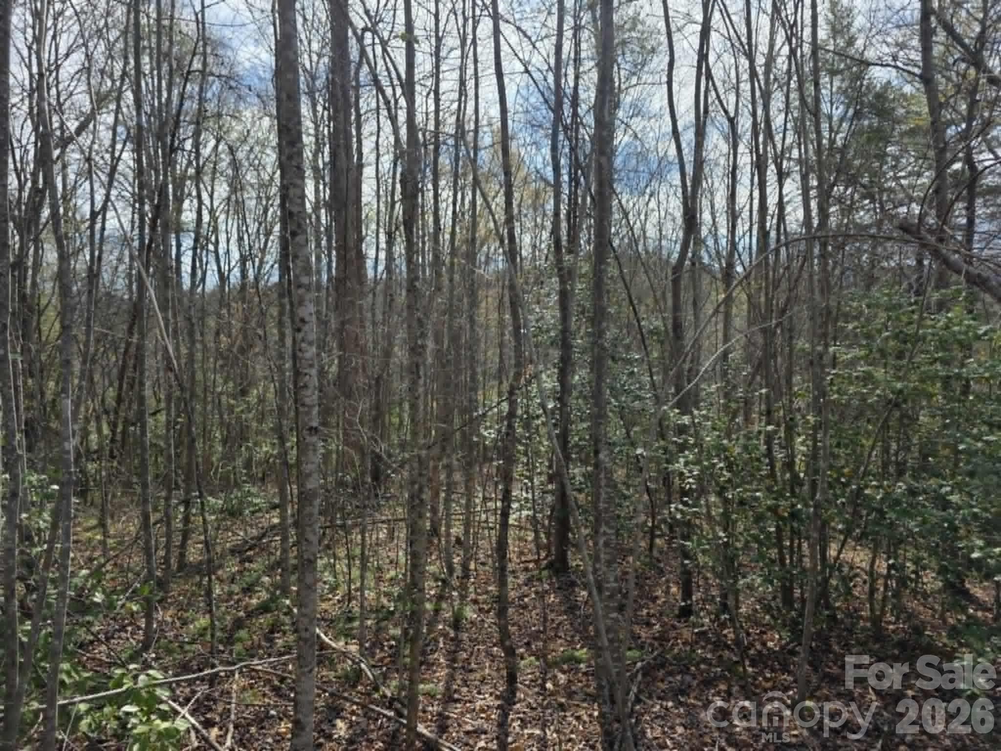 Lot at Lot 5 Kerlee Lane, Old Fort, photo 4 of 8