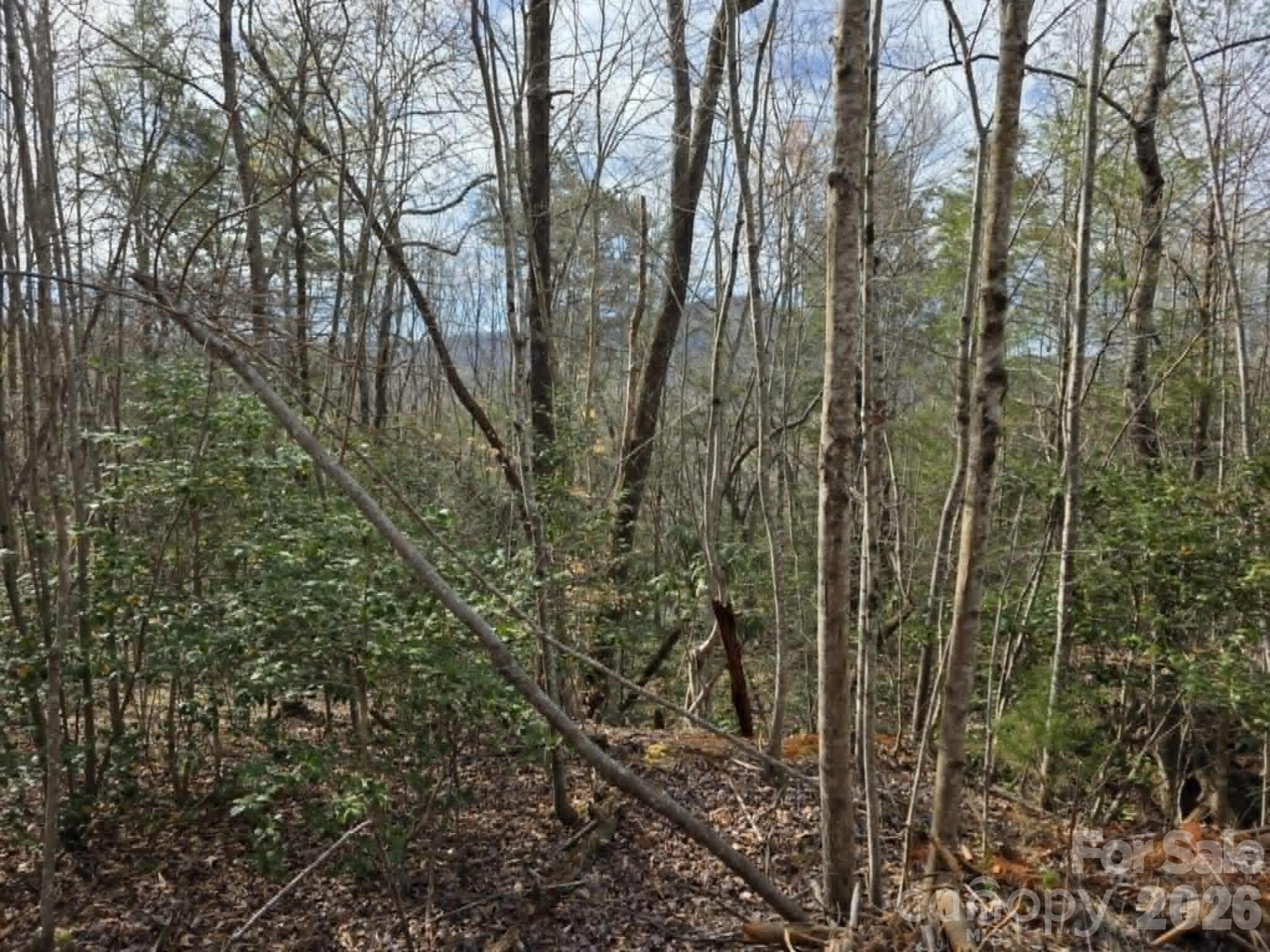 Lot at Lot 5 Kerlee Lane, Old Fort, photo 5 of 8