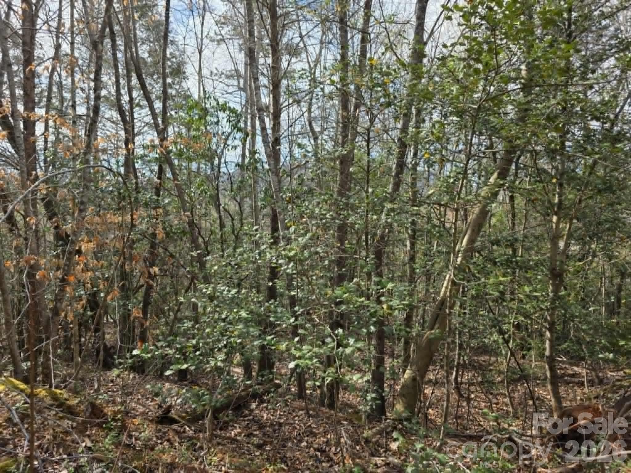 Lot at Lot 5 Kerlee Lane, Old Fort, photo 6 of 8