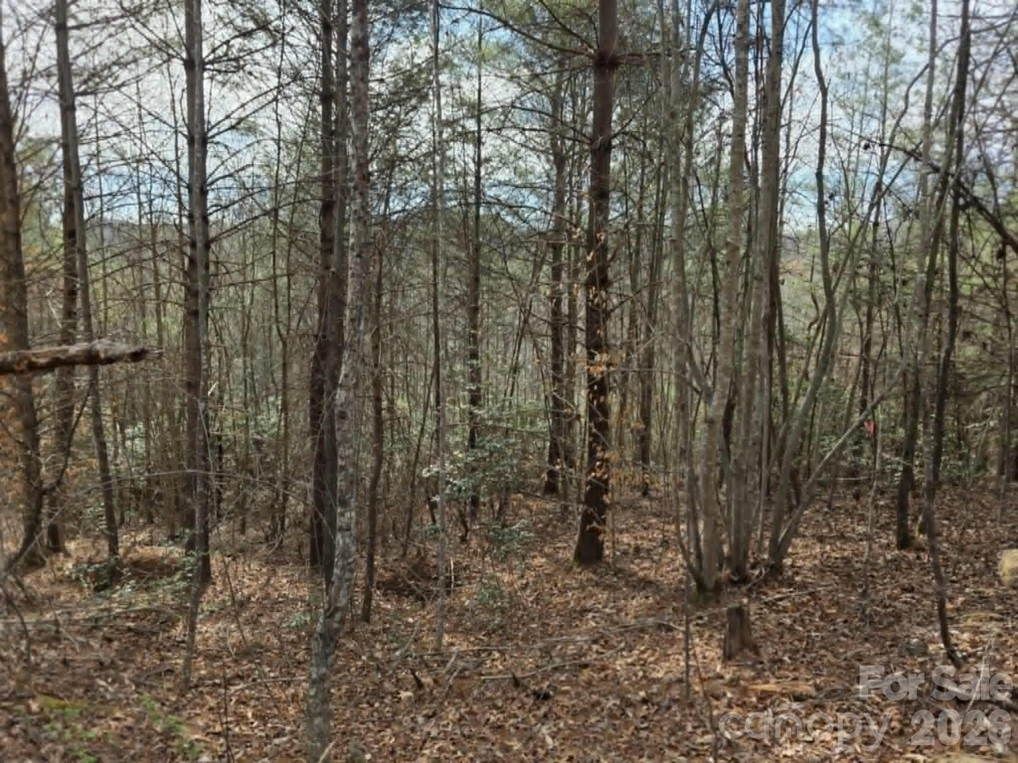 Lot at Old Fort, photo 2 of 10