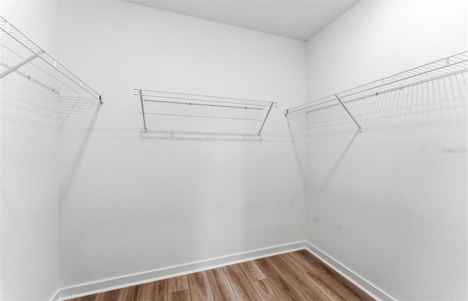 Owner's Walk-in Closet - 33452 BINDING TIES LN, WESLEY CHAPEL
