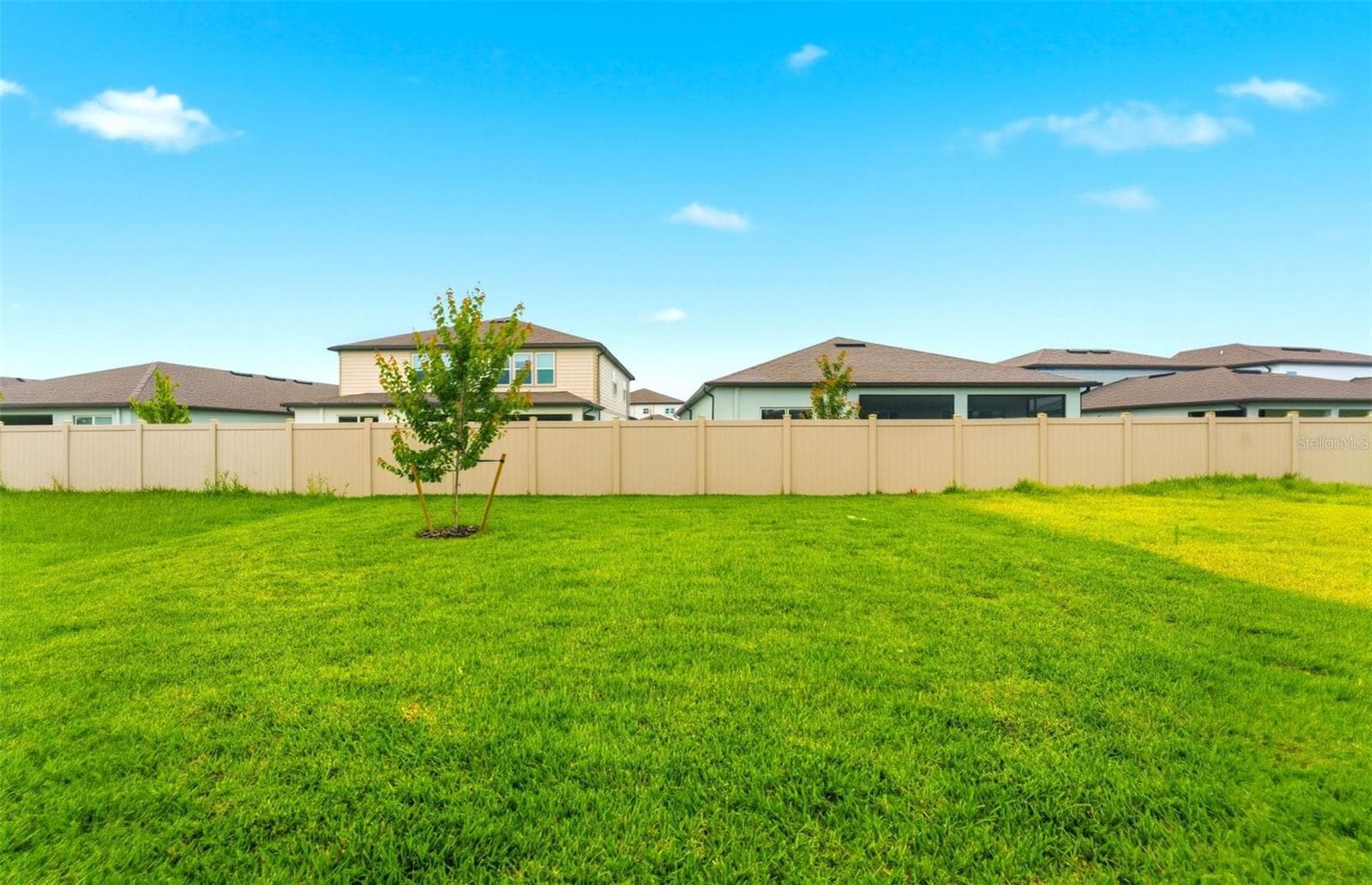 Spacious Backyard - 33452 BINDING TIES LN, WESLEY CHAPEL