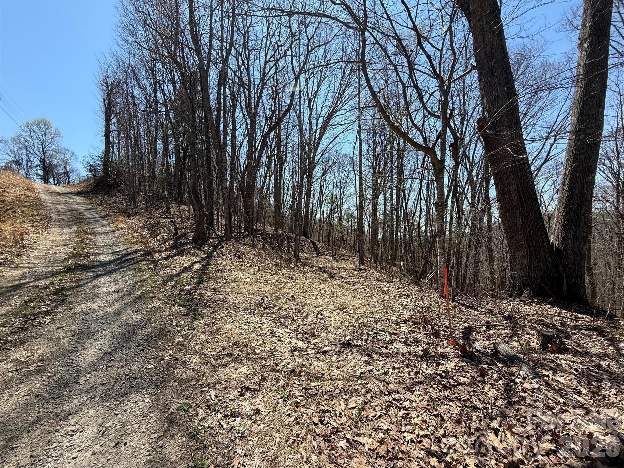 Lot at Mars Hill, photo 2 of 22