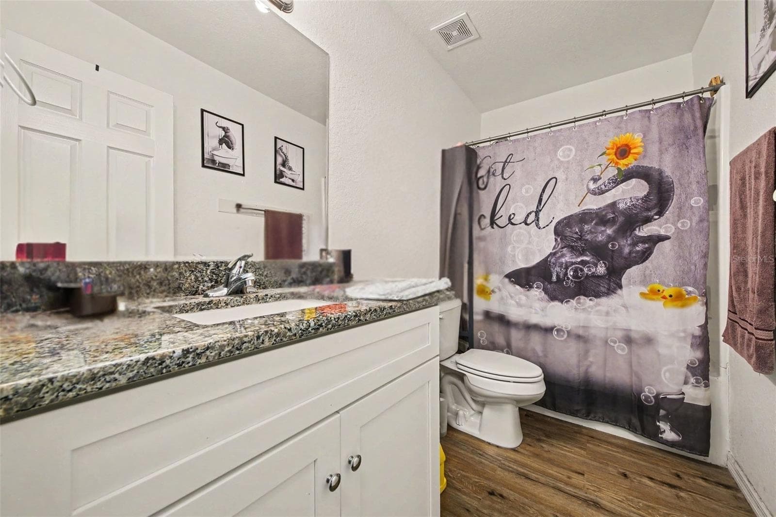 2nd/Guest Bath with plenty of counterspace :) - 17050 SE 60TH ST, OCKLAWAHA