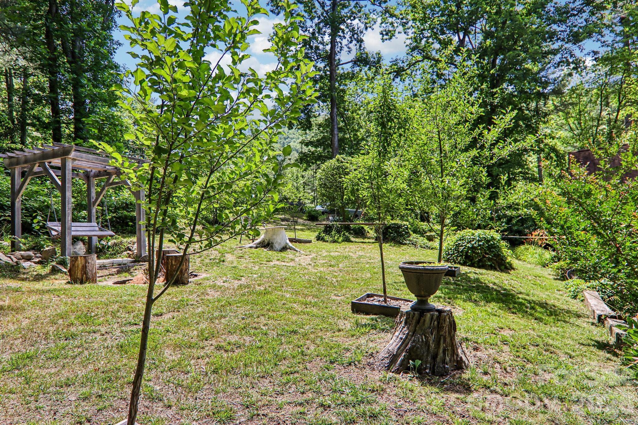 Apple and pear trees - Hendersonville