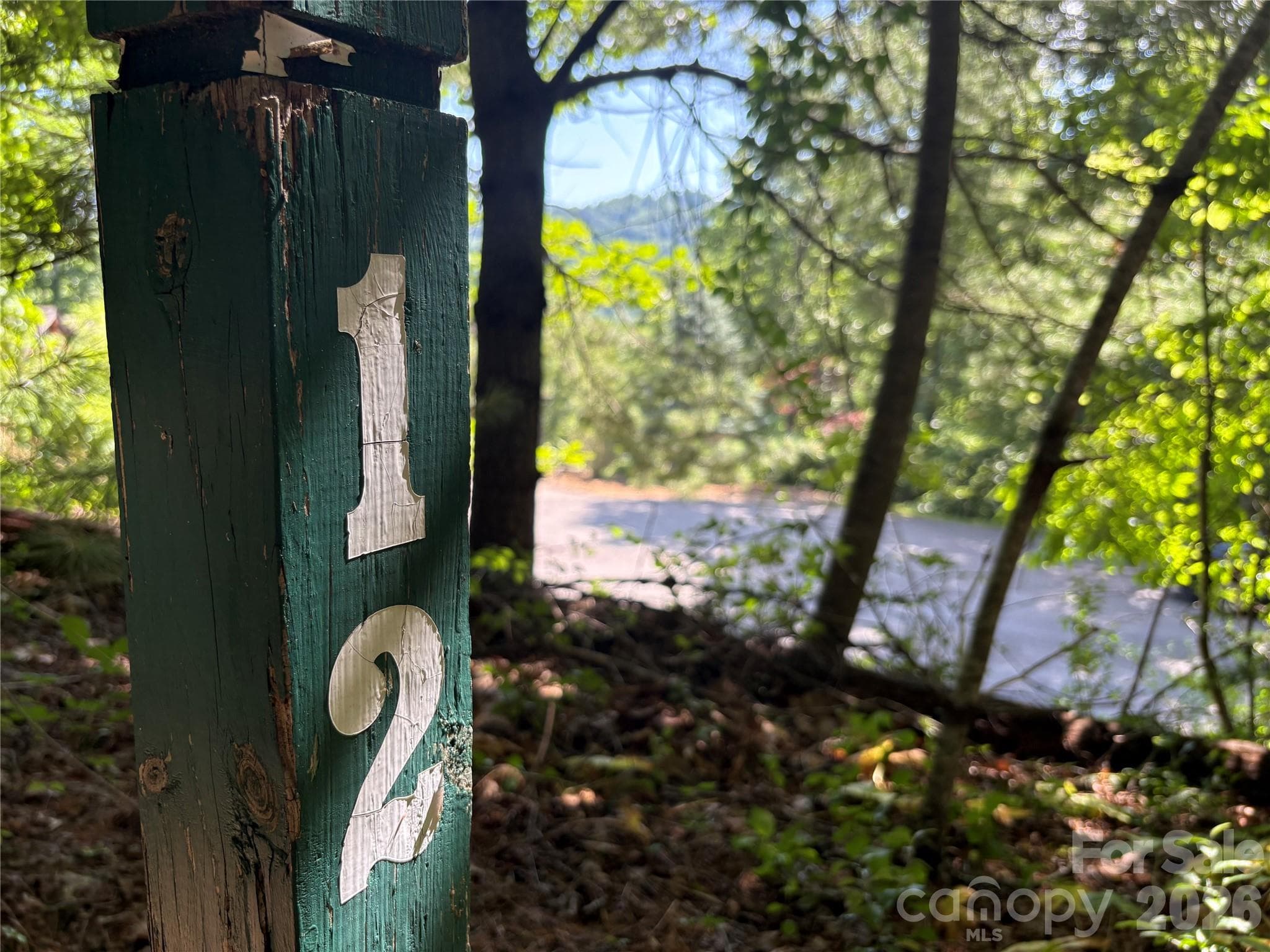 Lot at Hendersonville, photo 8 of 18
