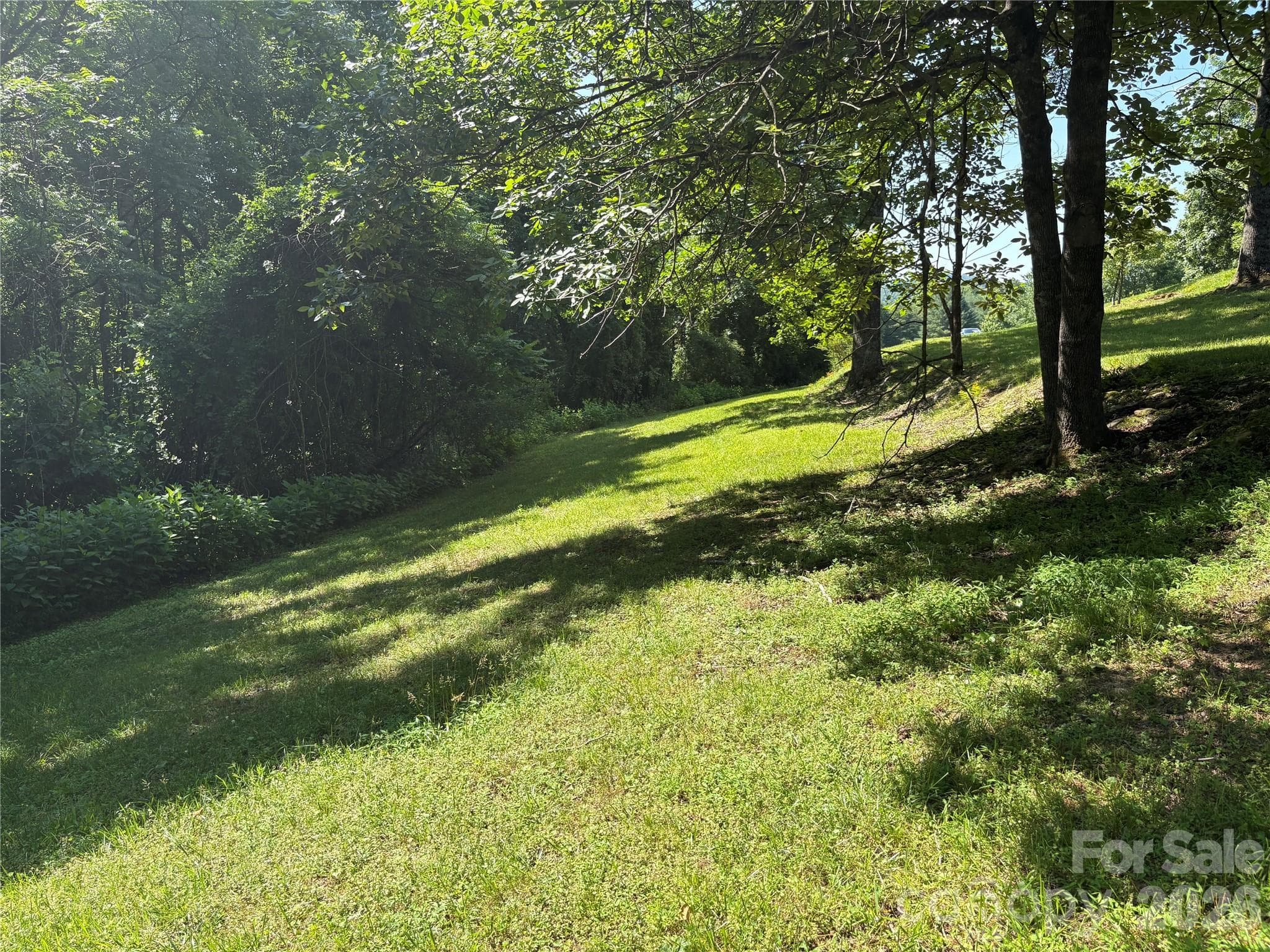 Lot at Hendersonville, photo 11 of 18