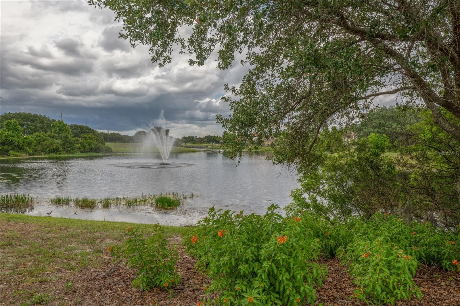 Beautiful fountain nestled among Eagle Creek's lush landscape and nature views - 10751 BELFRY CIR, ORLANDO