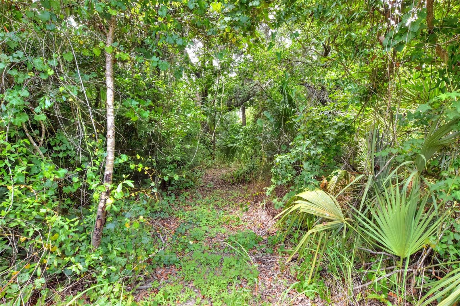 Land at 600 THOMPSON RD, LITHIA, photo 4 of 6