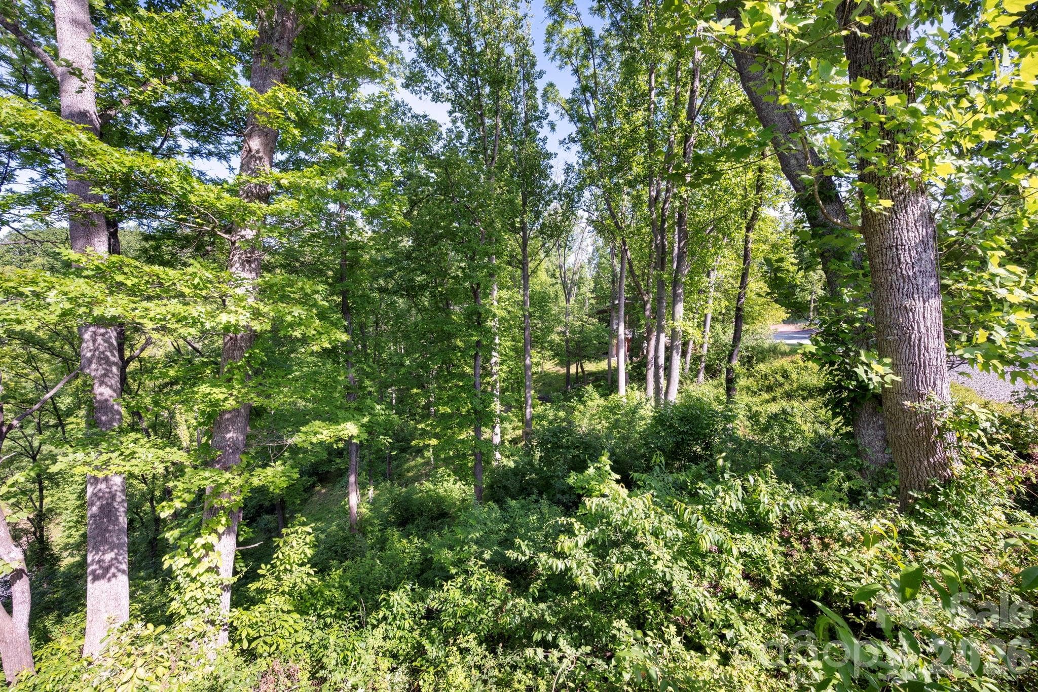 Lot at Asheville, photo 7 of 11