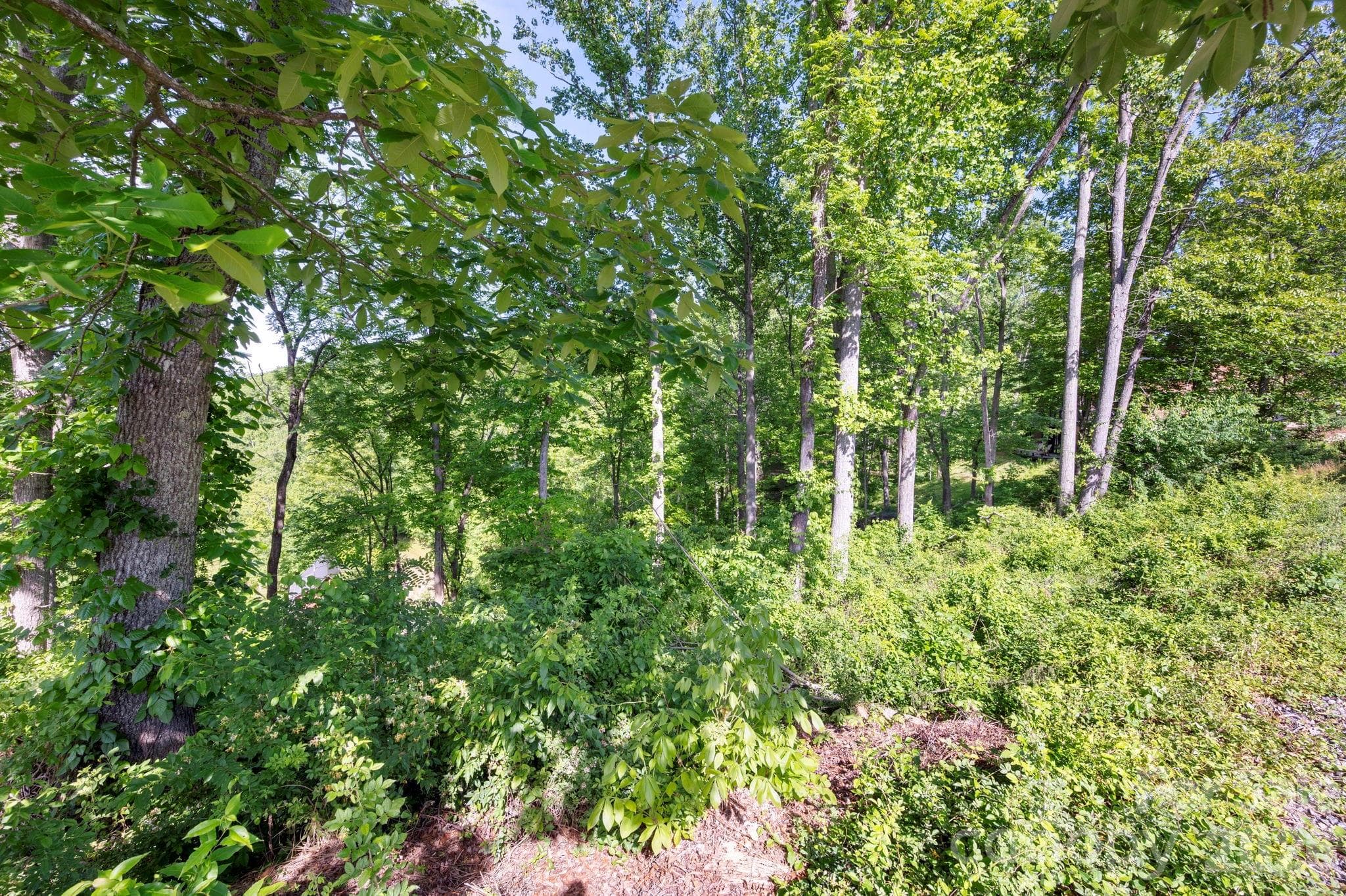 Lot at Asheville, photo 8 of 11
