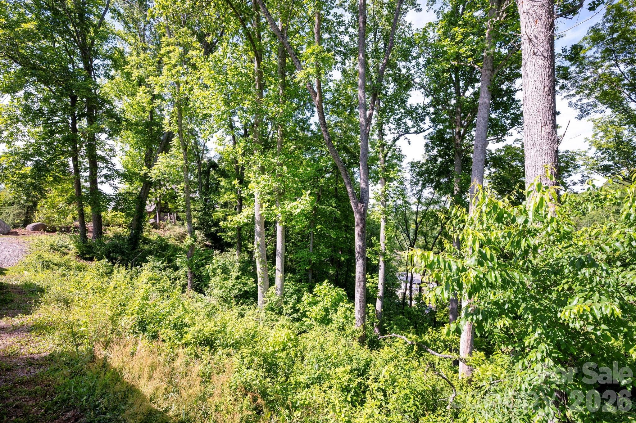 Lot at Asheville, photo 11 of 11