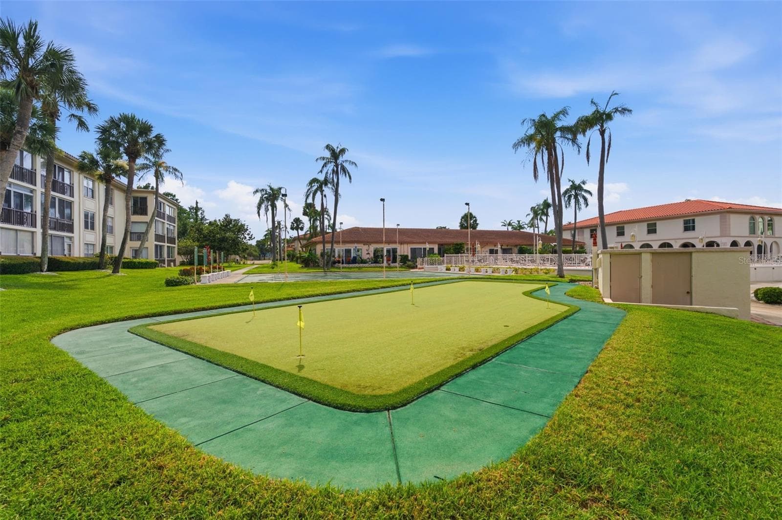 Mini putting green. - 19029 US HIGHWAY 19 N #7-12, CLEARWATER