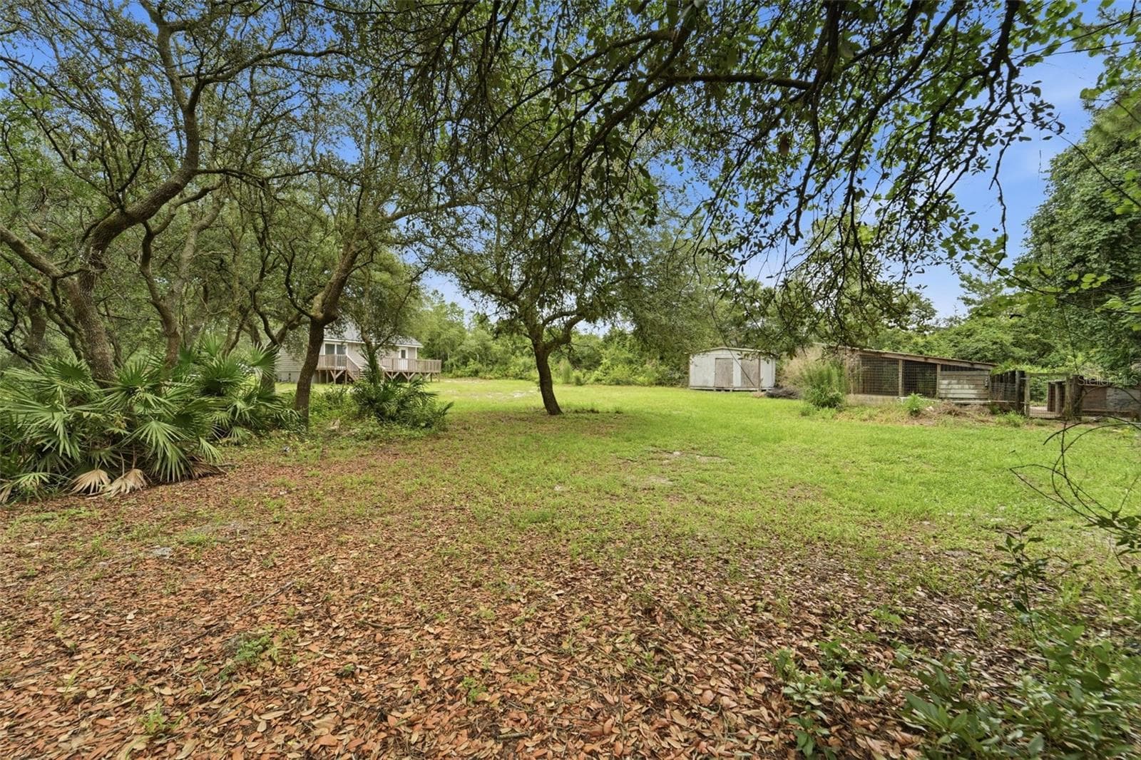 Backyard - 41707 ASPEN ST, EUSTIS