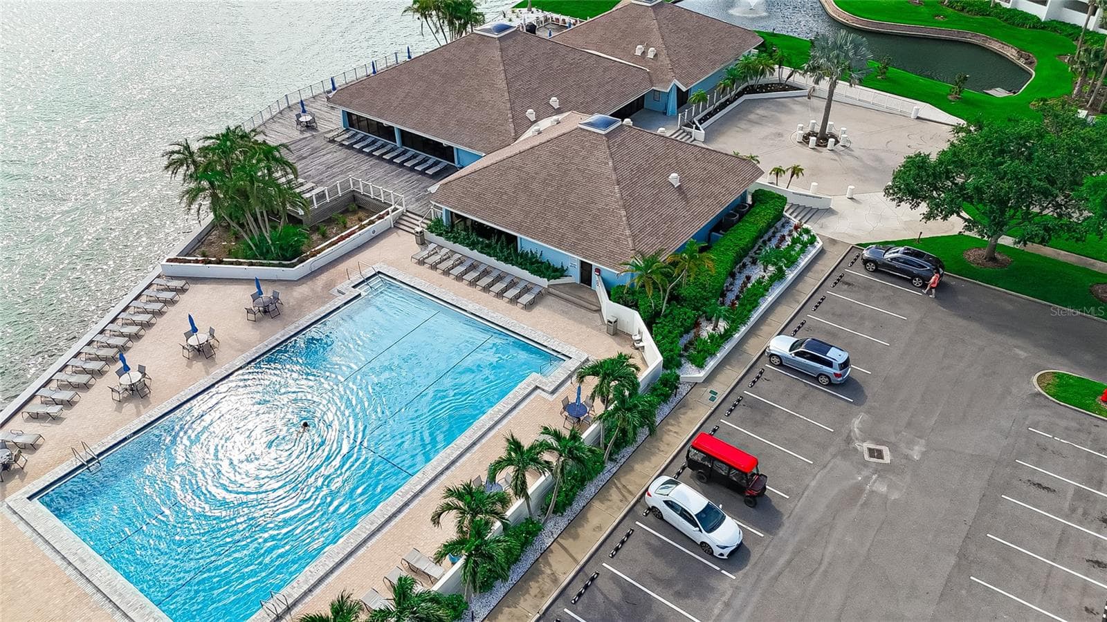 There are always dolphins playing in front of the pool - 9425 BLIND PASS RD #1103, ST PETE BEACH