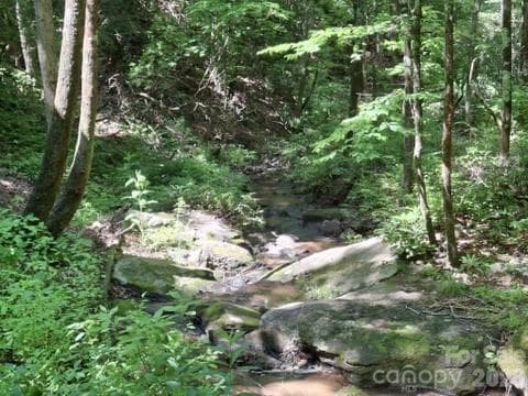 creek - 630 Shumont Road, Black Mountain