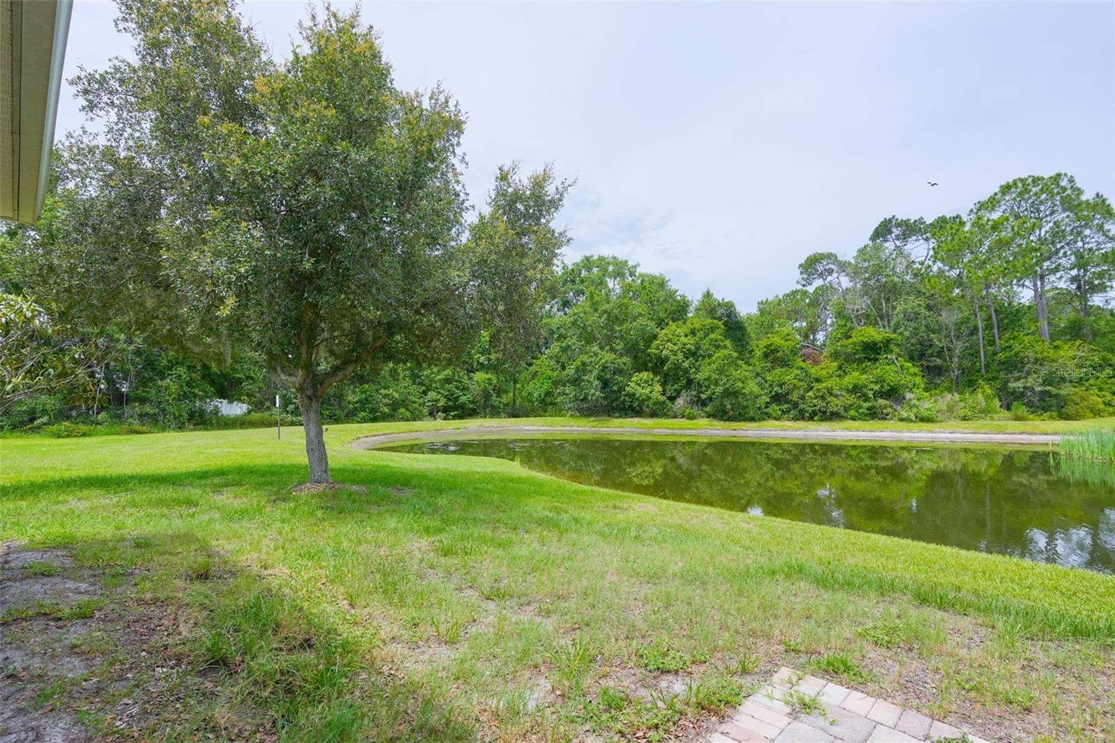 Single Family Residence at 6019 EVANSBROOK DR, ZEPHYRHILLS, photo 7 of 27