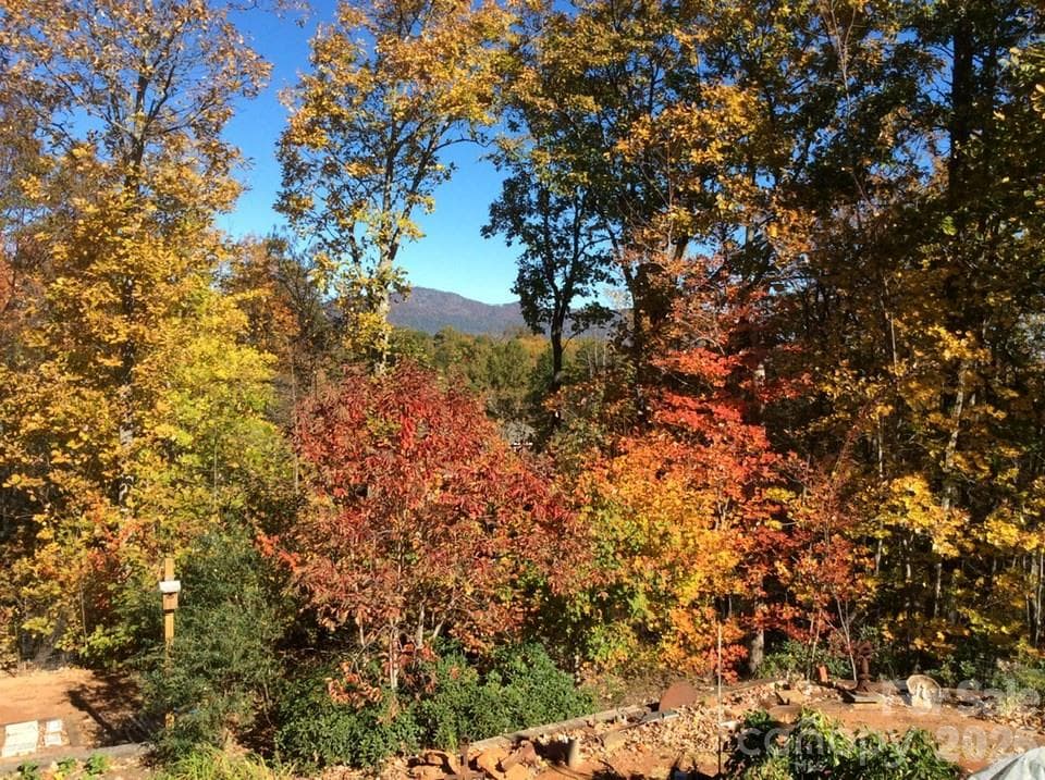 Mountain view improves as the leave fall! - 160 Caledonia Road, Landrum