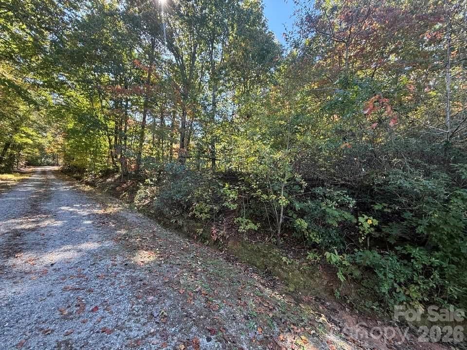 Side view of .26 ac parcel off Maxorrick - 160 Caledonia Road, Landrum
