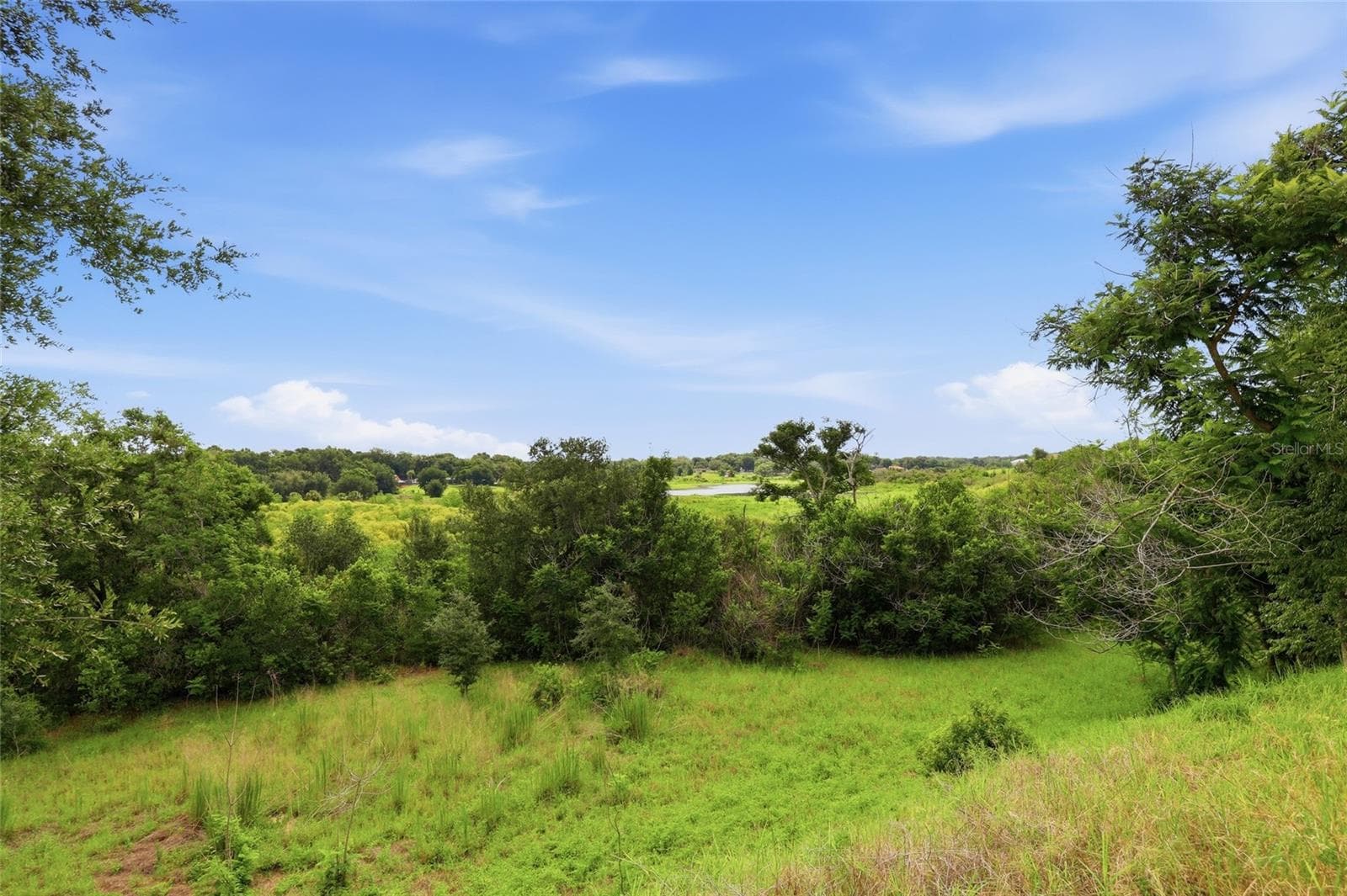 View from Backyard - 7254 COUNTRY RUN PKWY, ORLANDO