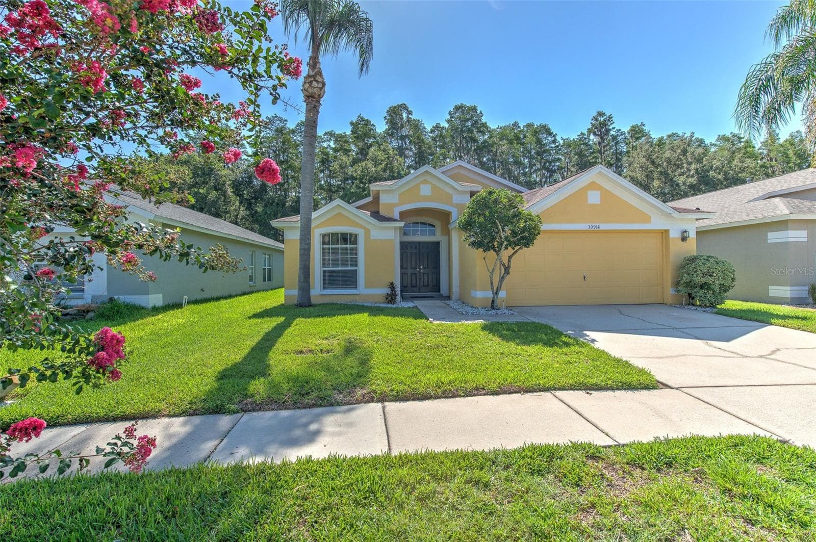 Exterior Front - 30914 BURLEIGH DR, WESLEY CHAPEL