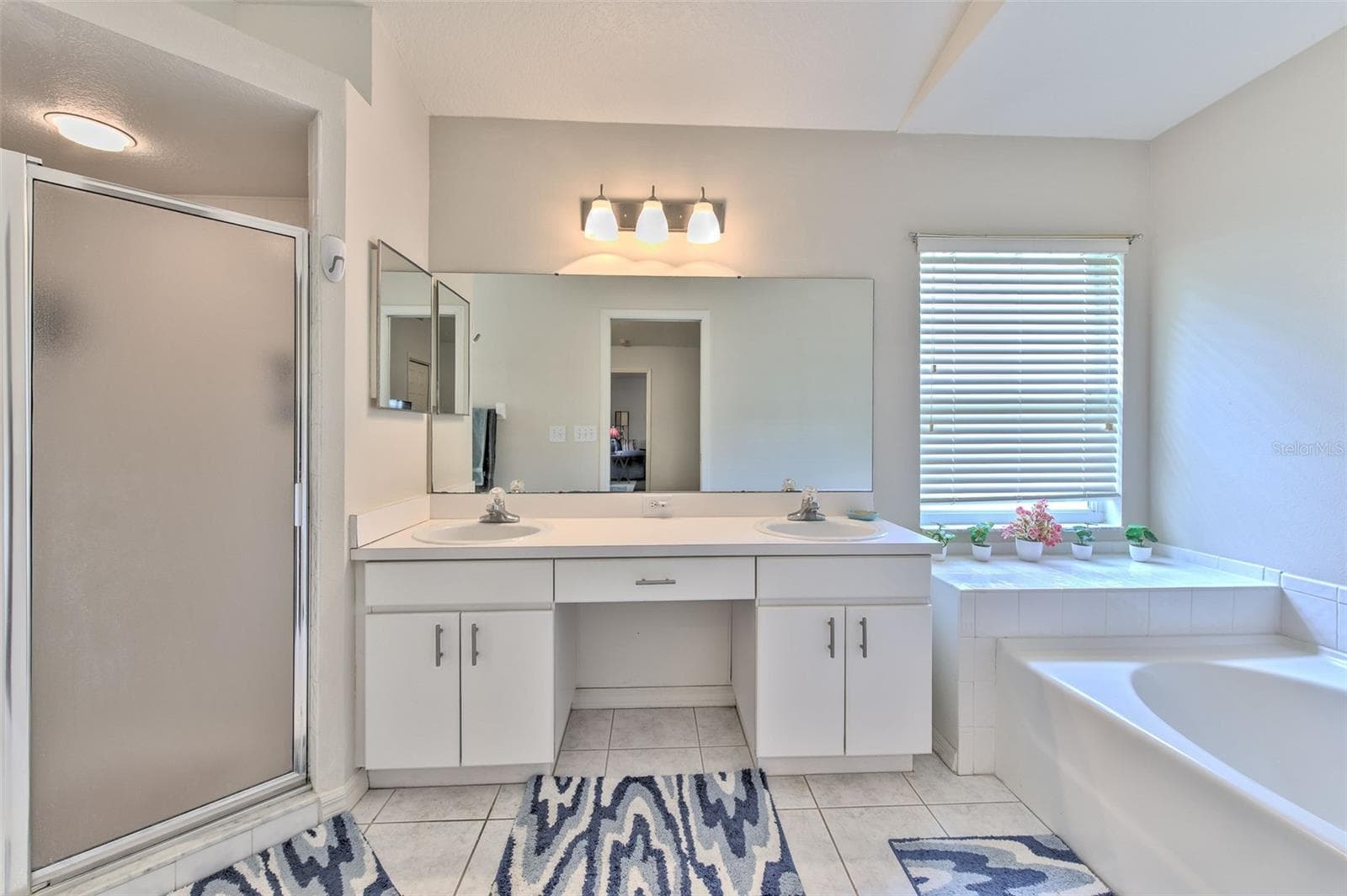 master Bath - 30914 BURLEIGH DR, WESLEY CHAPEL