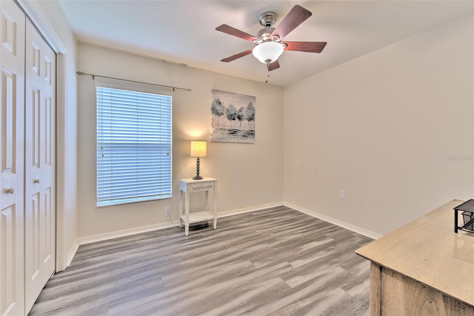 3rd bedroom - 30914 BURLEIGH DR, WESLEY CHAPEL